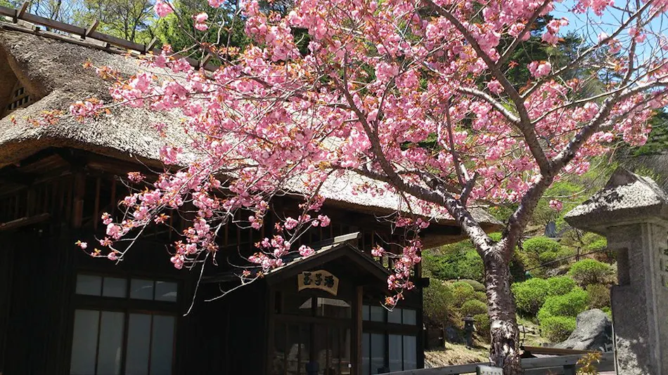 Ryokan Tamagoyu