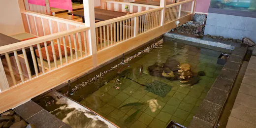 加太淡嶋温泉 大阪屋 ひいなの湯