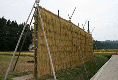 Hana to Hotaru Yunosato Yukiguni