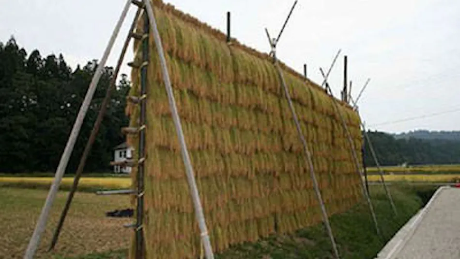 Hana to Hotaru Yunosato Yukiguni