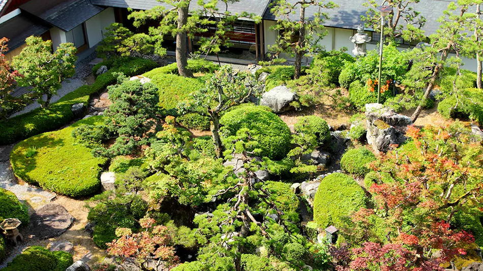 Misasa Onsen Misasa-kan