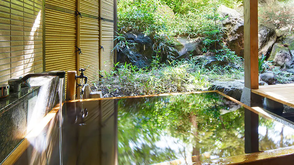 Niigata Iwamuro Onsen Private Hot Spring Inn Fujiya
