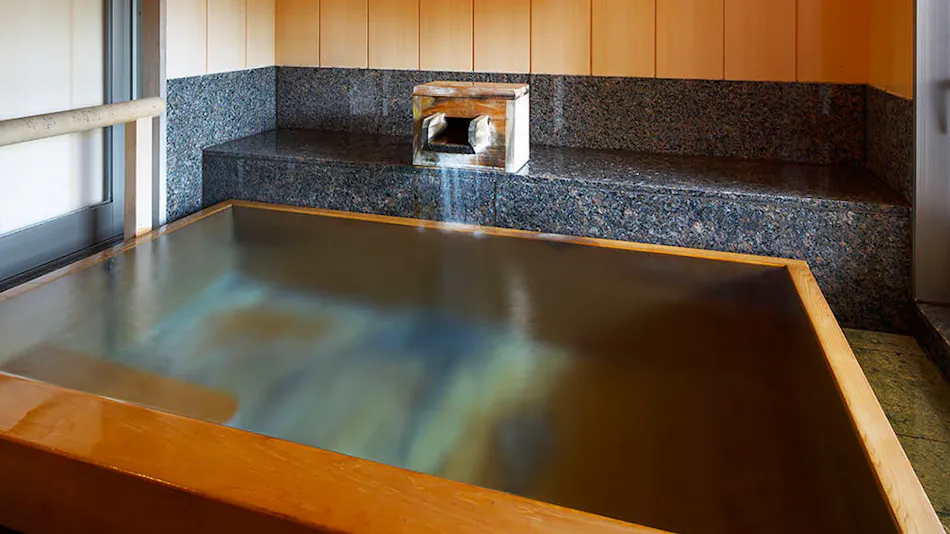 Niigata Iwamuro Onsen Private Hot Spring Inn Fujiya