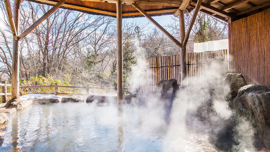 Akiu Onsen Hotel Hananoyu