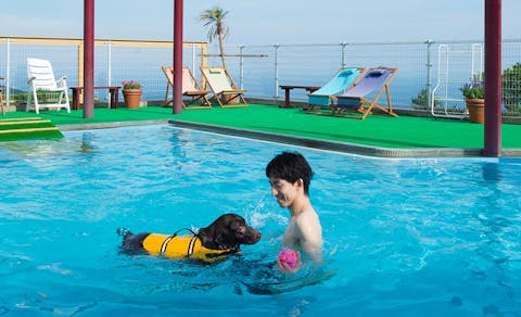 21年最新 箱根 熱海 伊豆 プールが人気の宿 2ページ ランキング Yahoo トラベル 21年最新 箱根 熱海 伊豆 プールが人気の宿 2ページ ランキング Yahoo トラベル