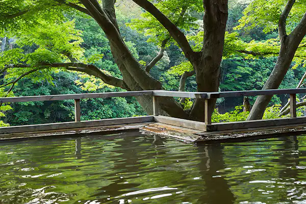 บ่อน้ำพุร้อนกลางแจ้ง