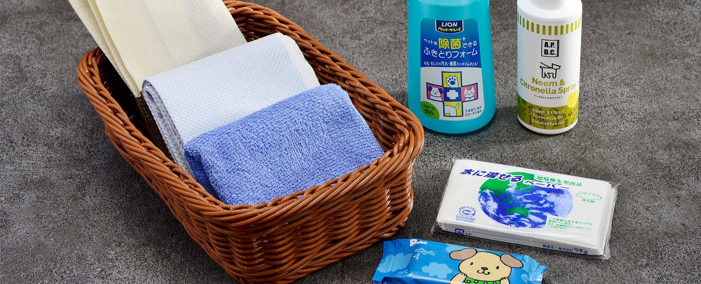 객실 내 반려견 용품