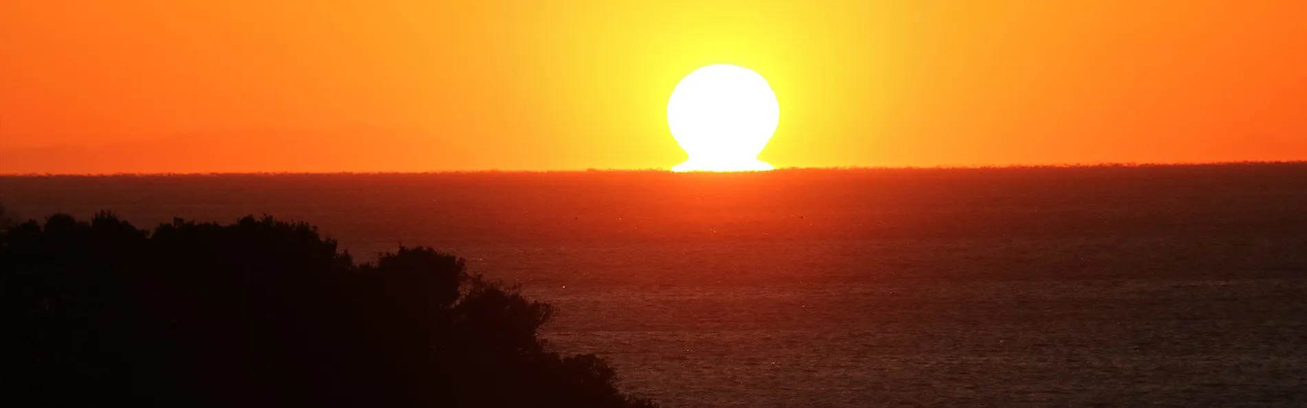 宿毛リゾート 椰子の湯