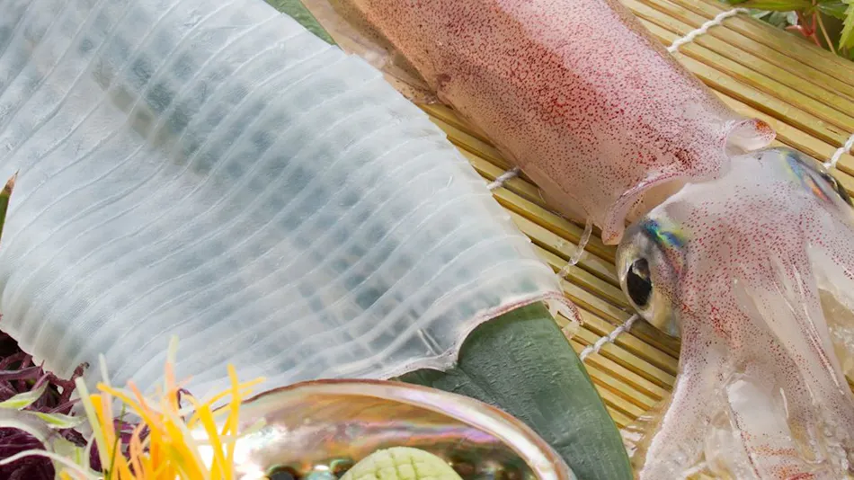 Seaside Culinary Inn Hatsushiro