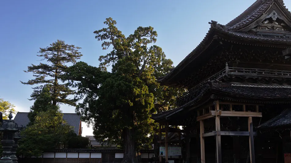 Moribito Inn