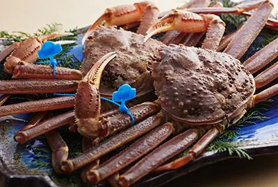 ปูมัตสึบะ