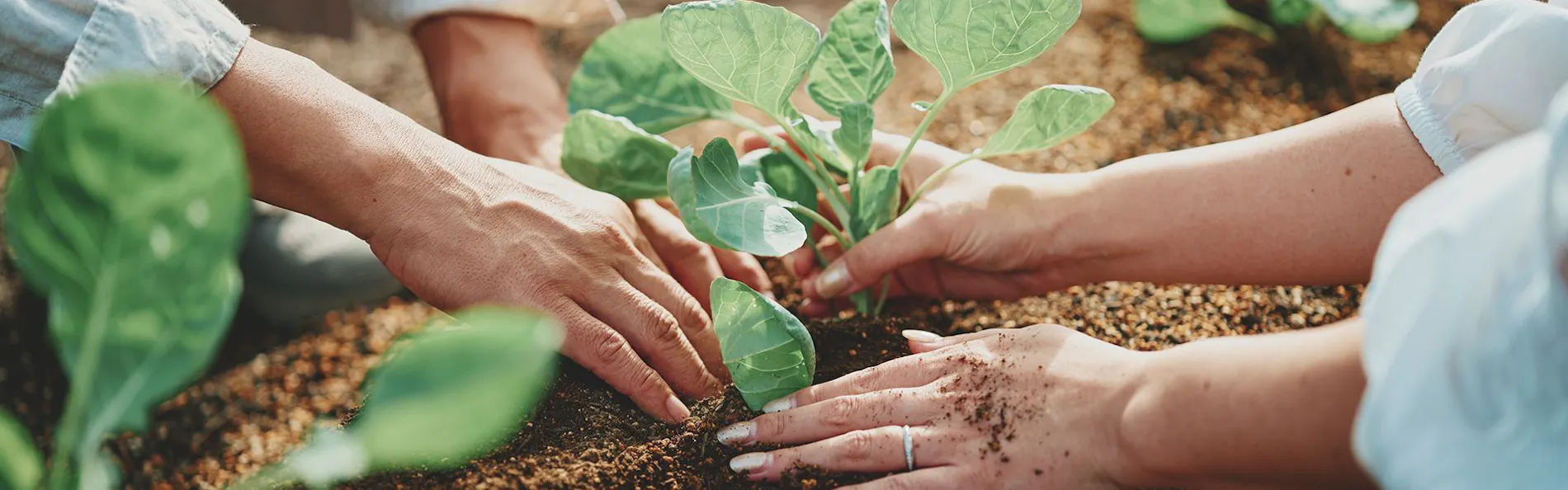 はたけのリゾート 燦燦Villa