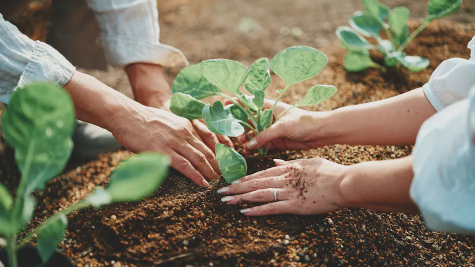 Hatake Resort San San Villa