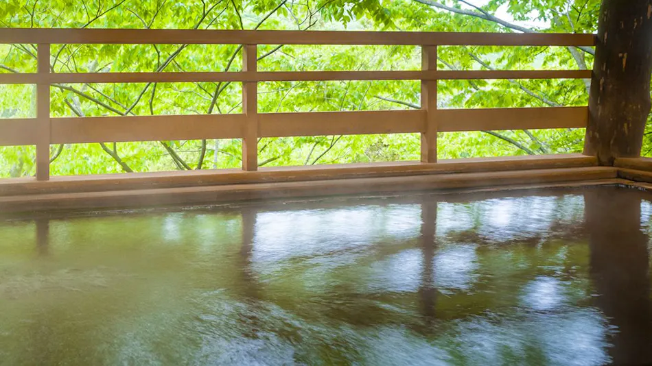 Kishigon Ryokan ~ Adjacent to Stone Steps Street, Rare Hot Spring "Golden Water" Inn ~