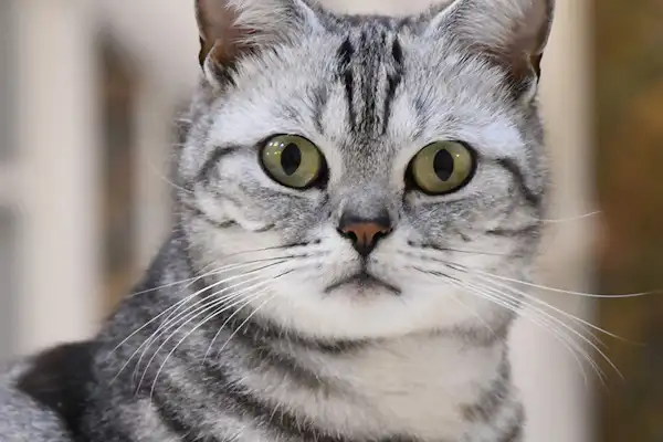 ภายในสิ่งอำนวยความสะดวก