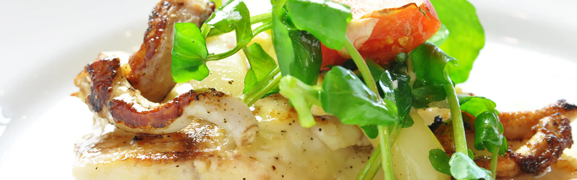 海のごちそう WATANABE