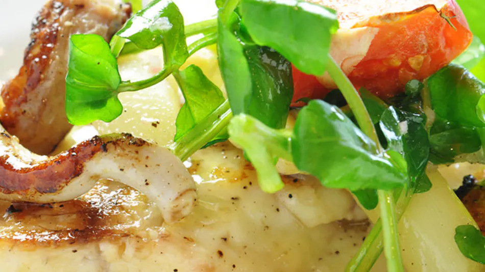 Sea Delicacies WATANABE