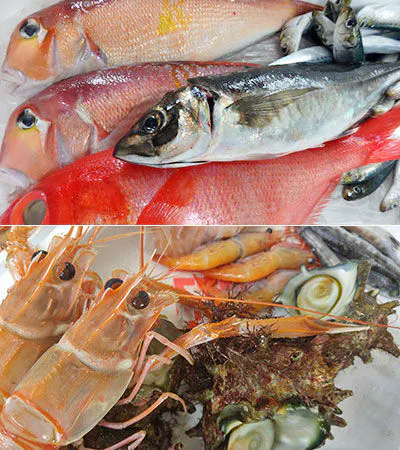 ตัวอย่างอาหาร