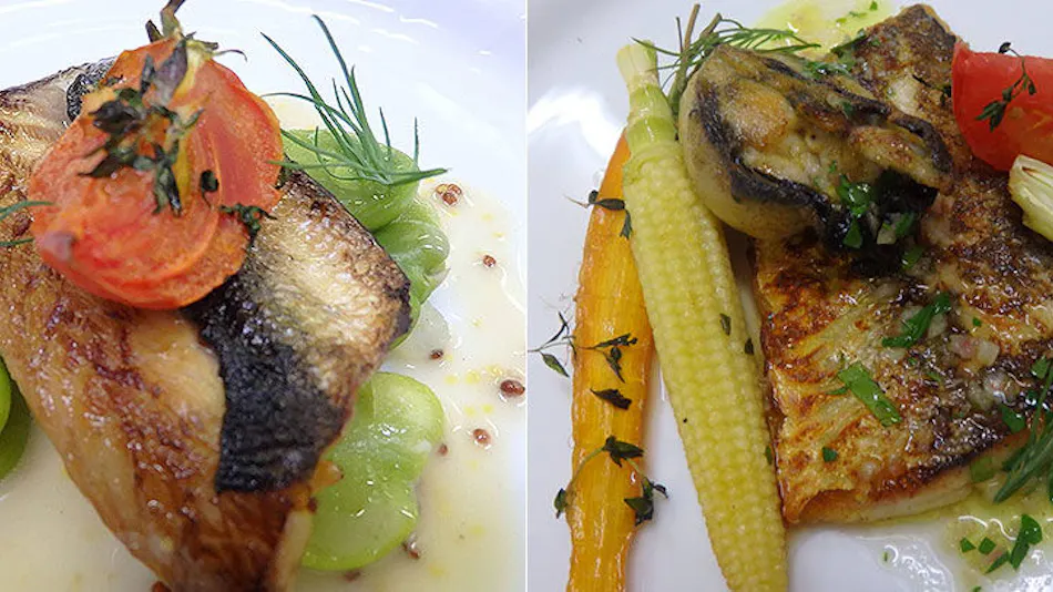 Sea Delicacies WATANABE