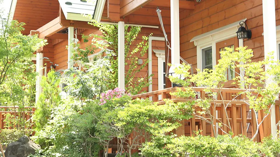 Private Resort Pine Tree
