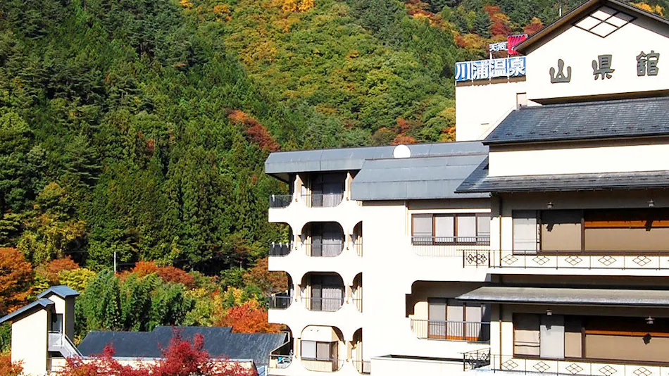 Kawafuru Onsen Yamagatakan