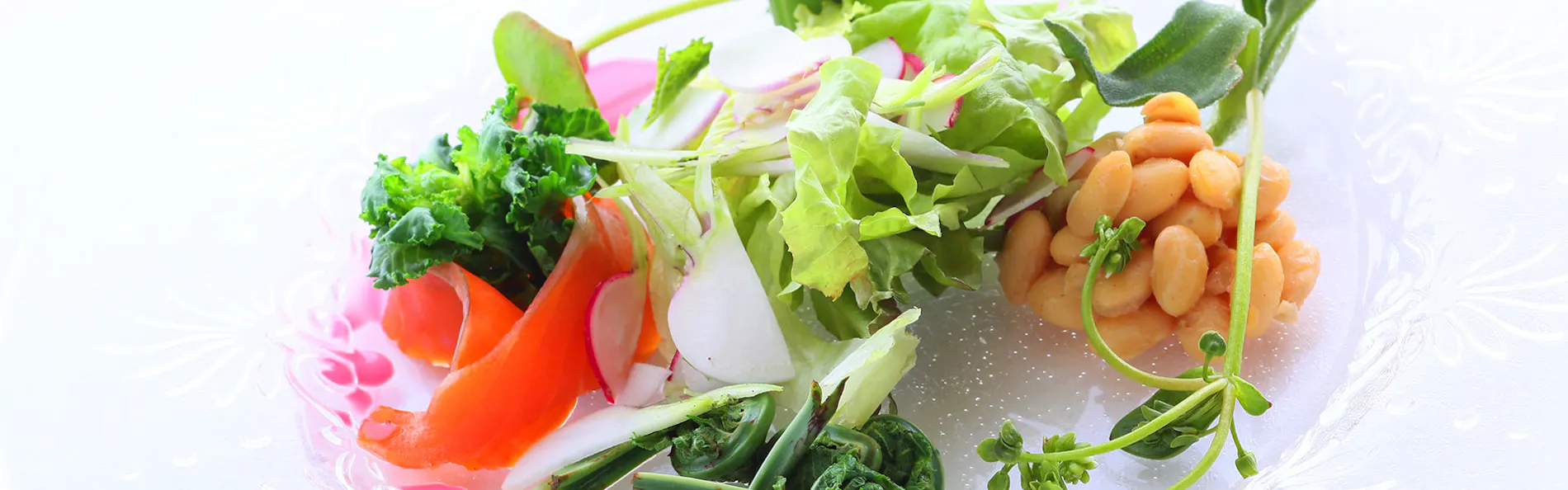 オーベルジュ メイヤの樹