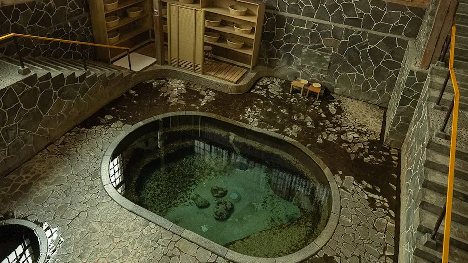 Lead Onsen Fujisan Ryokan