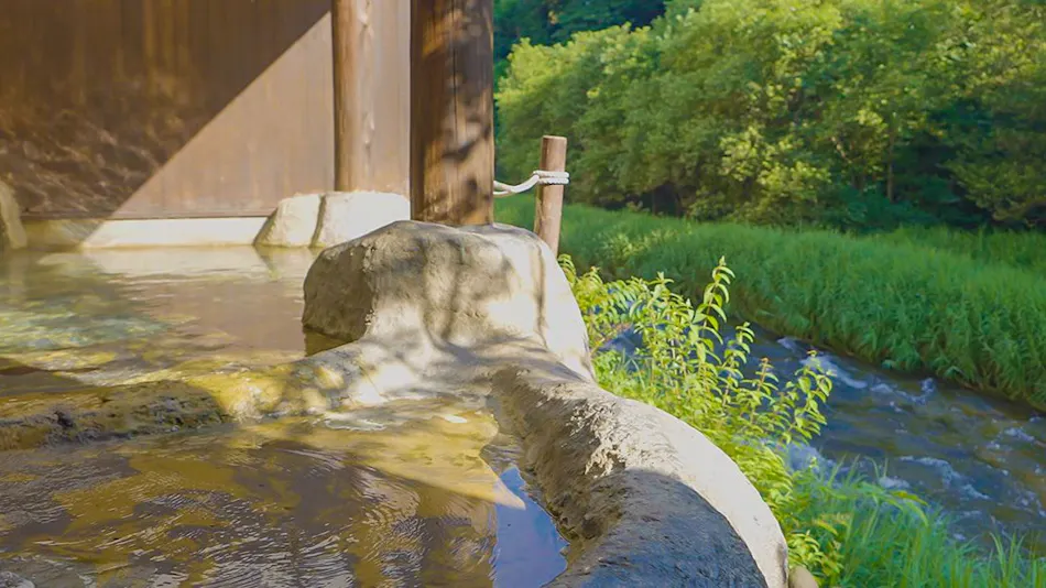 Lead Onsen Fujisan Ryokan