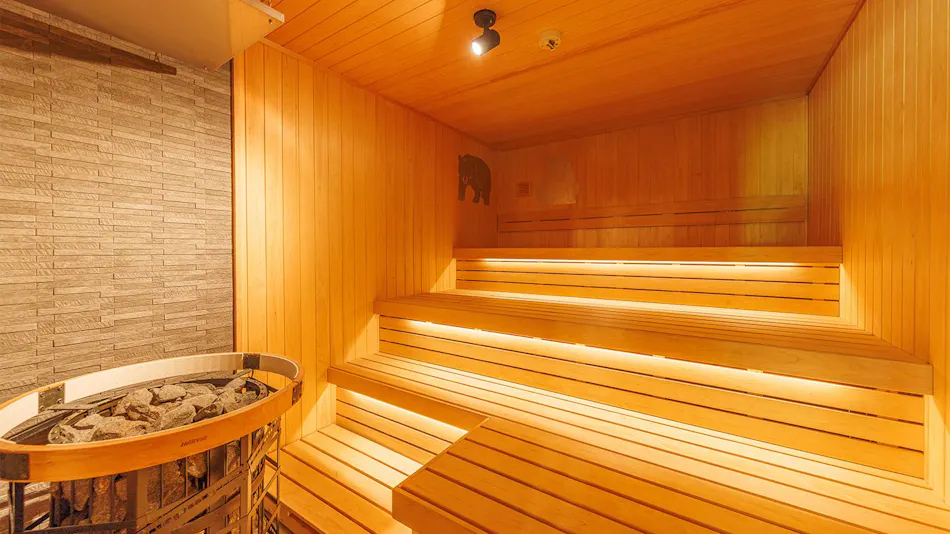 Lead Onsen Fujisan Ryokan