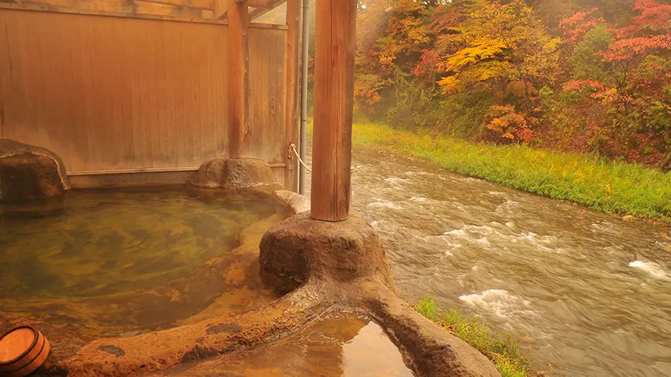 Lead Onsen Fujisan Ryokan
