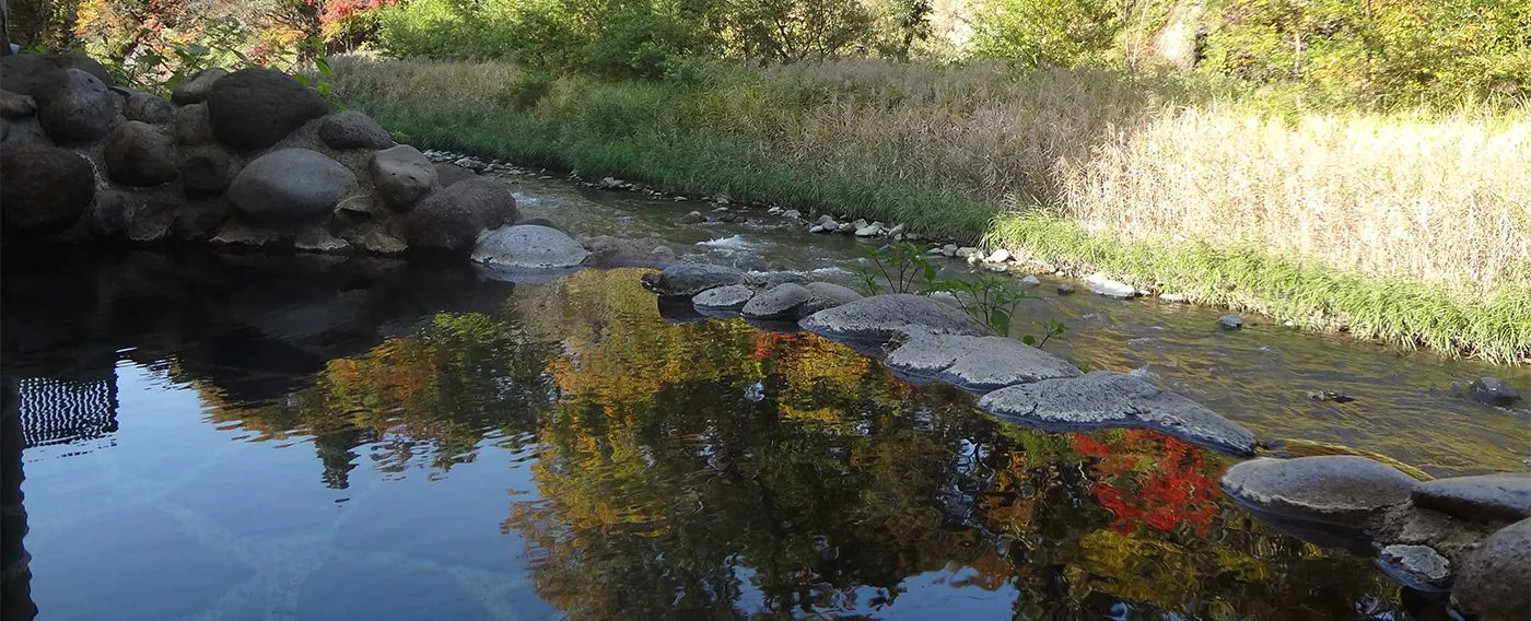 ฤดูใบไม้ร่วง