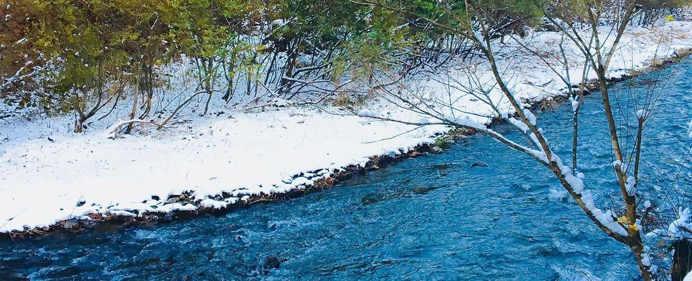 ฤดูหนาว