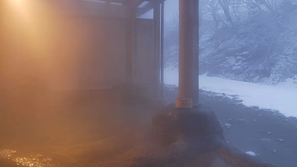 Lead Onsen Fujisan Ryokan