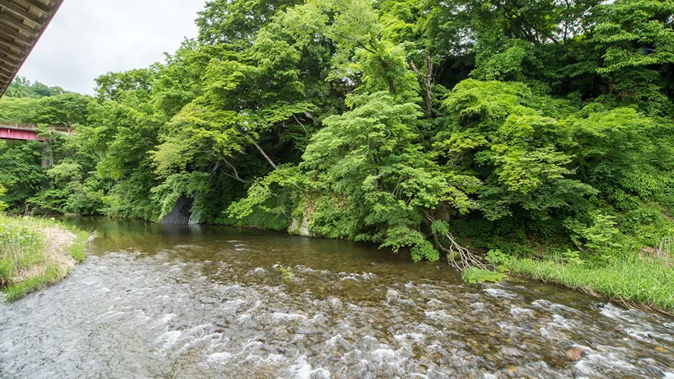 Lead Onsen Fujisan Ryokan