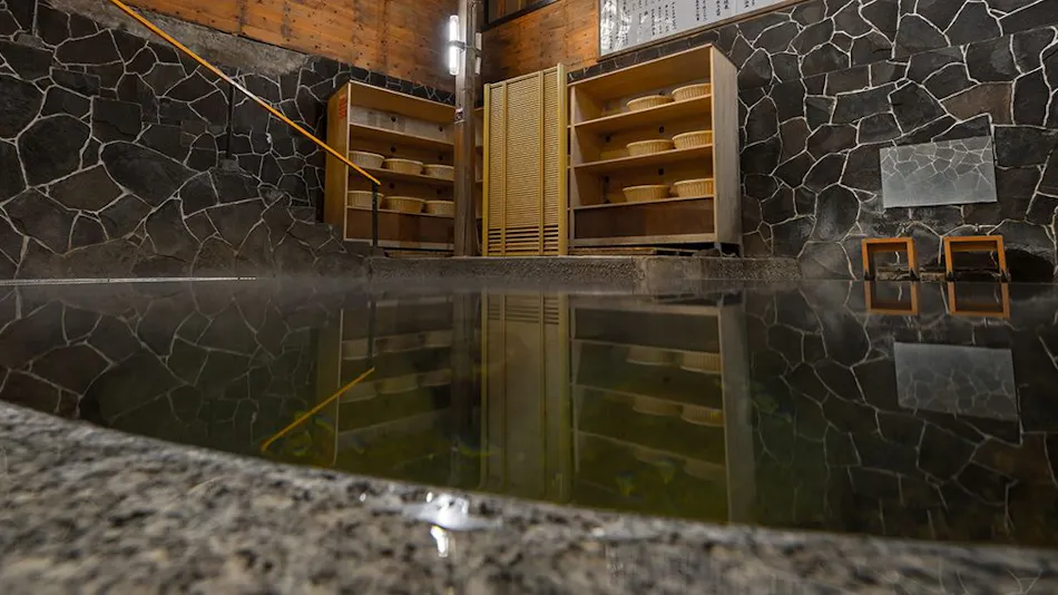 Lead Onsen Fujisan Ryokan