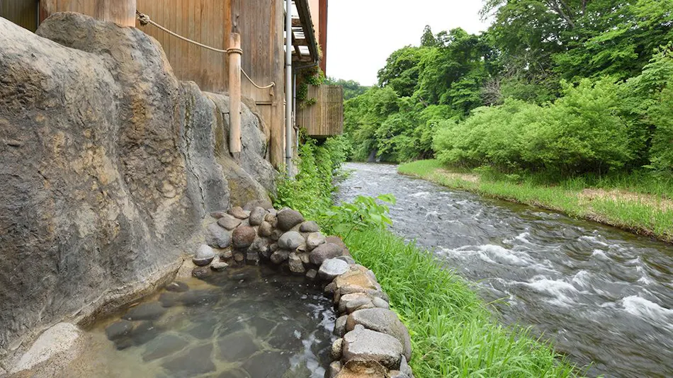 Lead Onsen Fujisan Ryokan