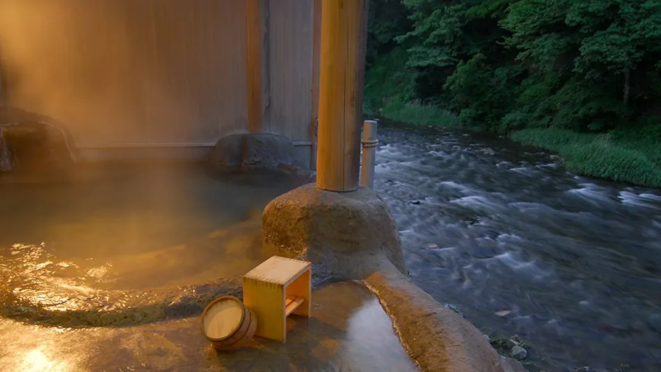 Lead Onsen Fujisan Ryokan