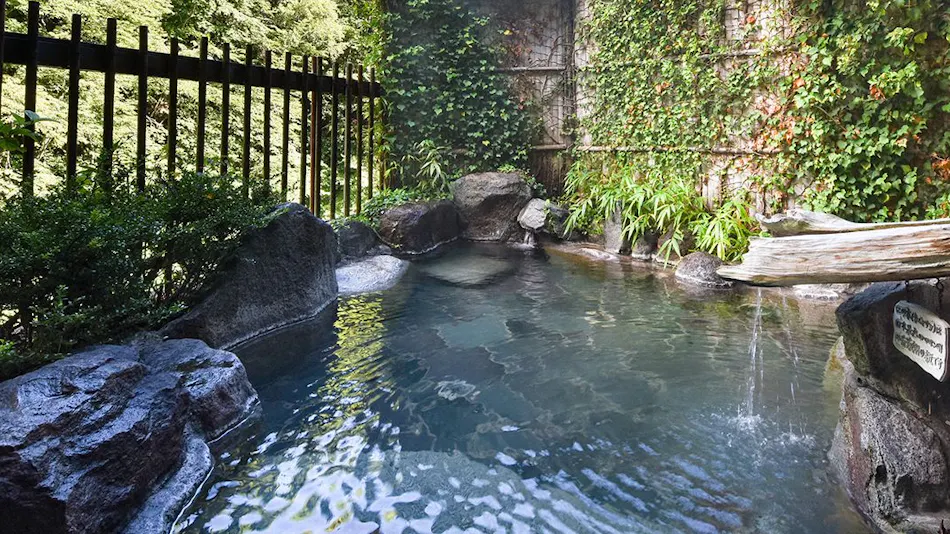 Sagashio Onsen Sagashio-kan