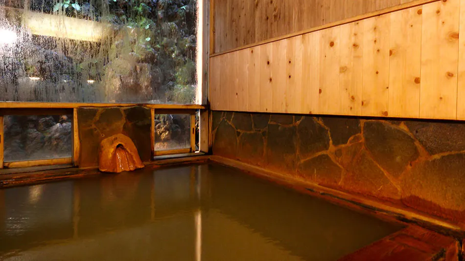 Yokotekan: An Inn of Traditional and Historic Hot Springs