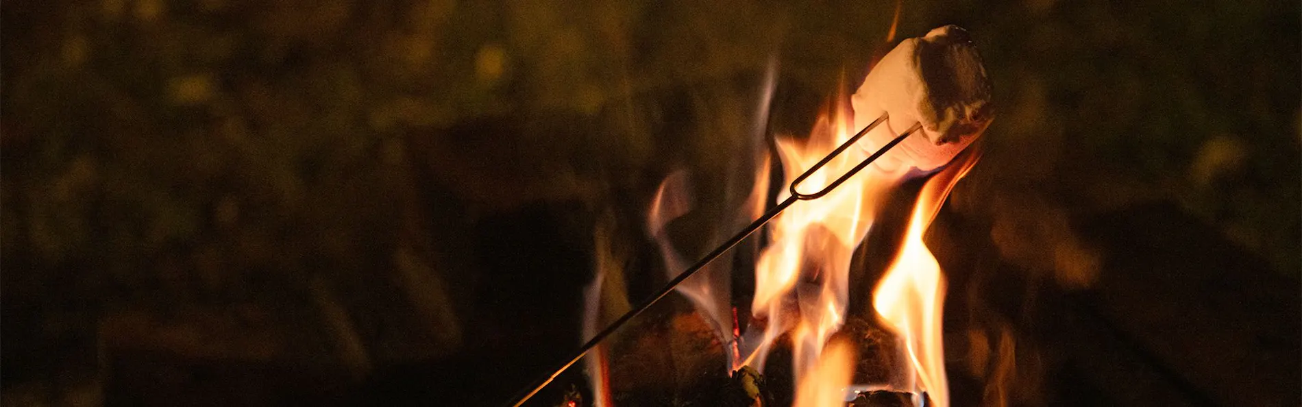 キャンプリゾート森のひととき