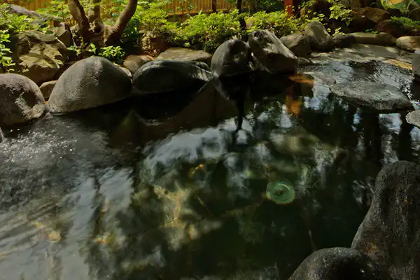 น้ำพุร้อน