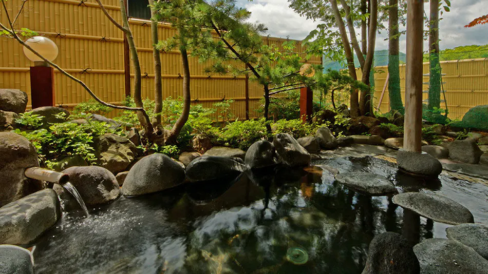 Hotel Casual Euro with Private Hot Spring in Nikko
