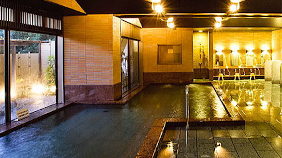 Mikawa Bay Hills Hotel (formerly Green Hotel Mikagane)