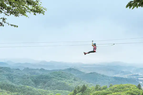 Zipline