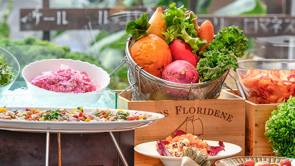 Mobility Resort Motegi