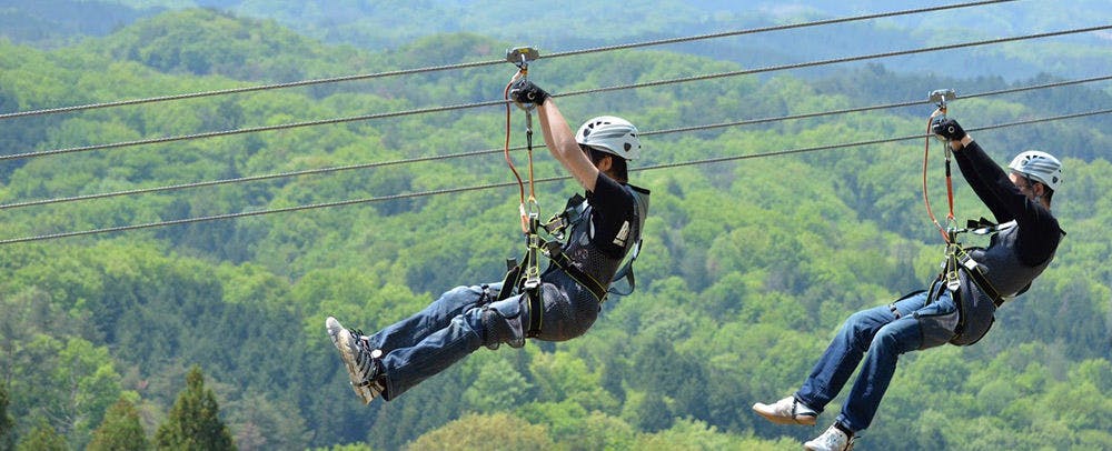 Zipline