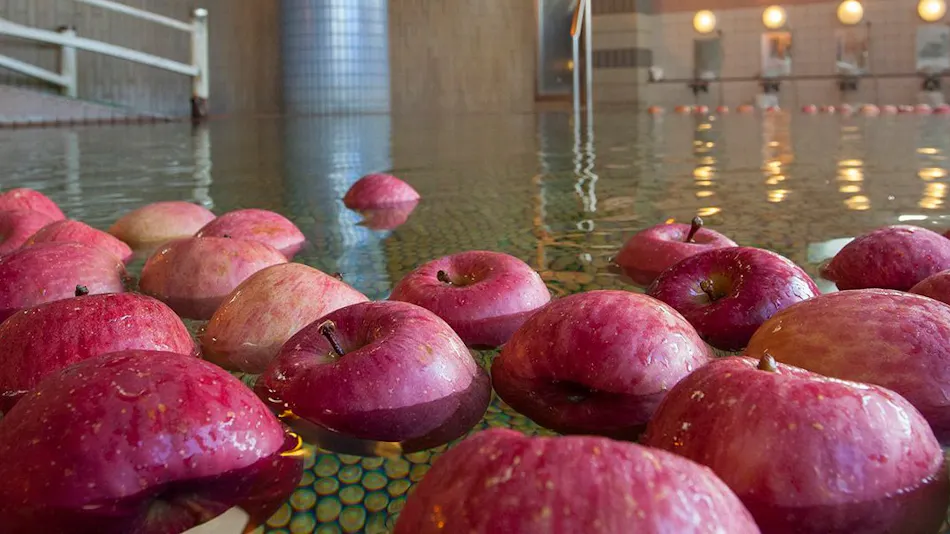 Tsugaru Inn Nandai Onsen Hotel Apple Land