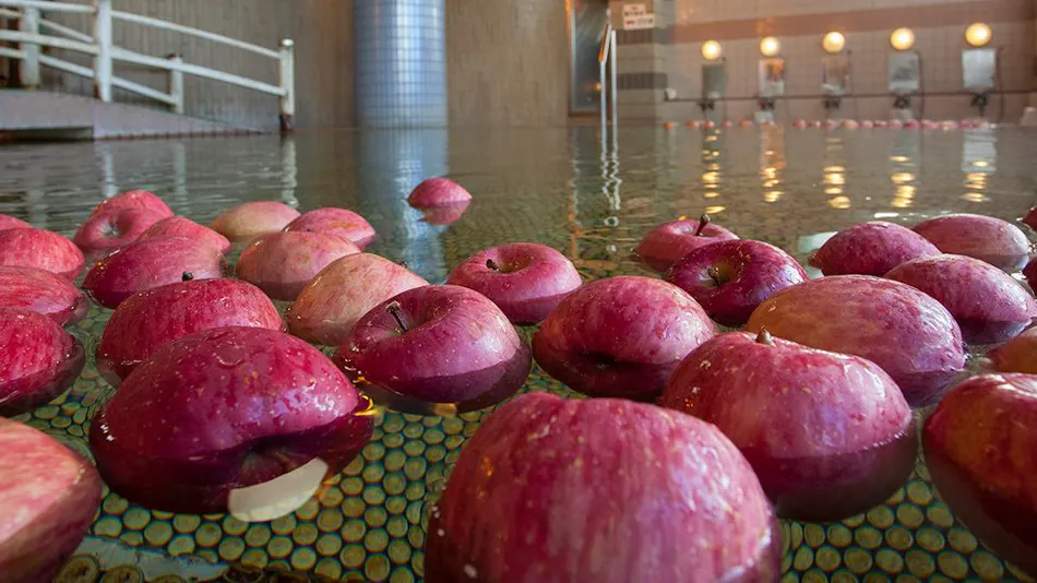 Tsugaru Inn Nandai Onsen Hotel Apple Land