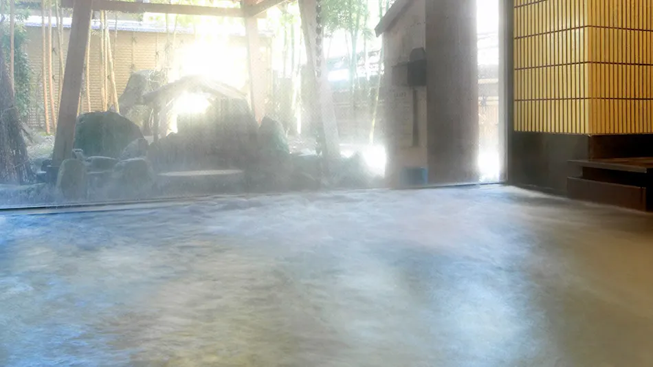 Echigo no Oyado Wakatake