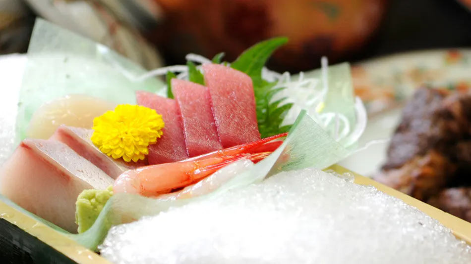 Echigo no Oyado Wakatake